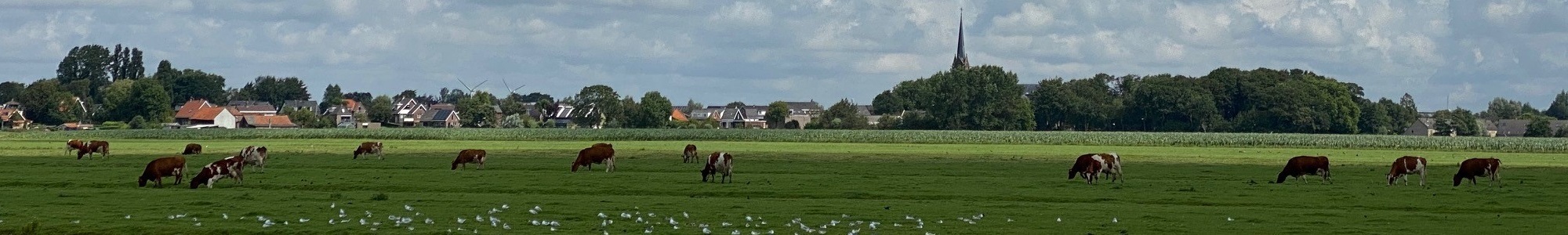 Stompwijk